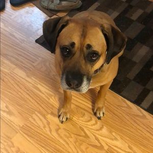 Meet your Posher, Donna